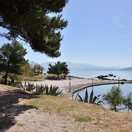Zizic * Kastela